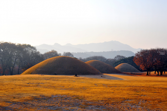 대릉원의 아침풍경