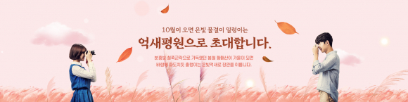 황매산 억새축제에 초대합니다  [사진 제공 합천군. 재판매 및 DB 금지]