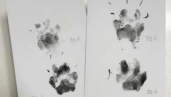 댕댕발도장 [사진 제공 김포시. 재판매 및 DB 금지]