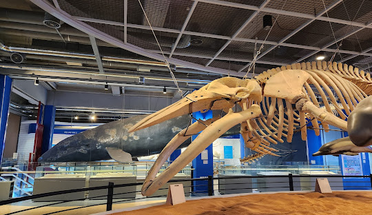 장생포 고래박물관 [사진 제공 울산광역시. 재판매 및 DB 금지]