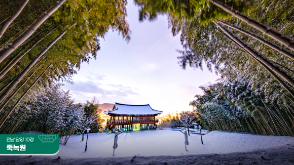 울창한 대나무숲 사이로 산책길 죽녹원 [사진 제공 담양군. 재판매 및 DB 금지]