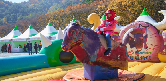 맑고 깨끗한 청정 고장 문경의 대표 축제 ‘2025 문경약돌한우축제장’ [사진 제공 문경시. 재판매 및 DB 금지]