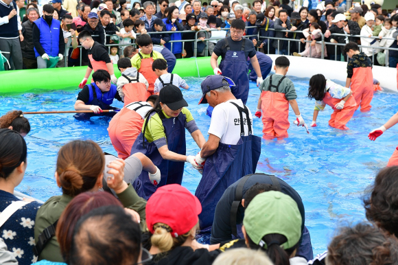 2024 죽변항 수산물축제 맨손 활어잡기 [사진 제공 울진군. 재판매 및 DB 금지]