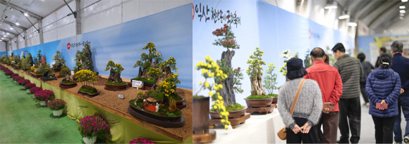 국화축제 실내전시장  [사진 제공 익산시. 재판매 및 DB 금지]