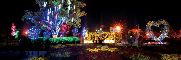 축제장 야경  [사진 제공 익산시. 재판매 및 DB 금지]