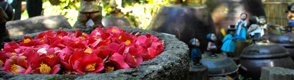 겨울부터 봄까지, 3,000여 그루의 동백나무가 발그레한 볼을 붉히는 오동도 상징 [사진 제공 여수시. 재판매 및 DB 금지]
