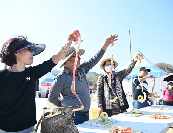 사과 올림픽 [사진 제공 청송군. 재판매 및 DB 금지]