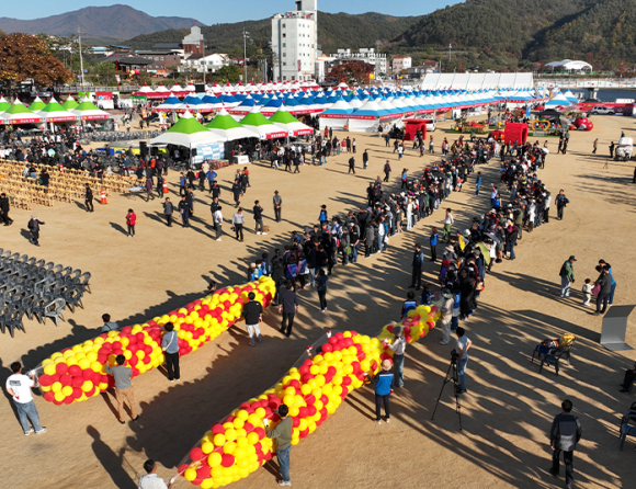 만유인력 황금사과를 찾아라 [사진 제공 청송군. 재판매 및 DB 금지]