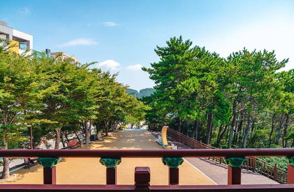 달맞이 언덕 [사진 제공 부산광역시. 재판매 및 DB 금지]