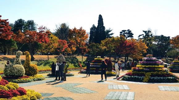 가을축제 국화 조형물 [사진 제공 청주시. 재판매 및 DB 금지]