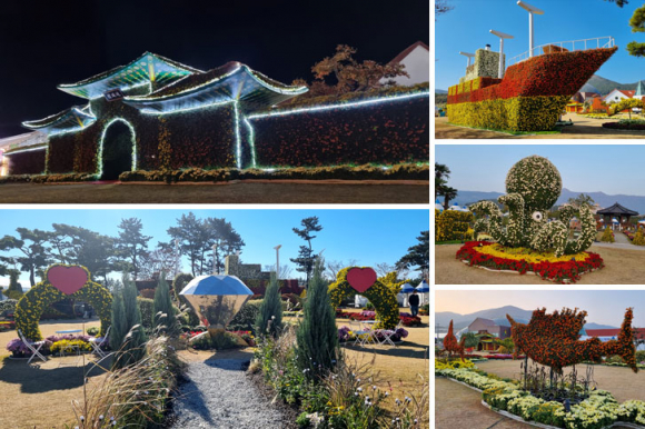 대형국화조형물 전시 [사진 제공 거제시. 재판매 및 DB 금지]