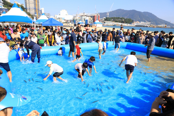 맨손 고등어잡기 [사진 제공 부산광역시. 재판매 및 DB 금지]
