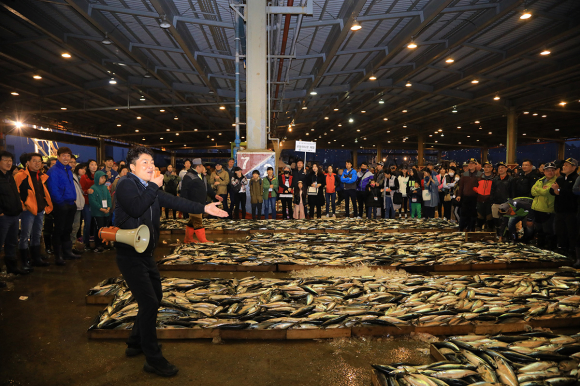 공동어시장 현장체험 [사진 제공 부산광역시. 재판매 및 DB 금지]