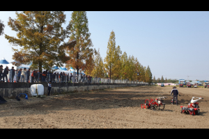 연시장 시연 [사진 제공 익산시. 재판매 및 DB 금지]