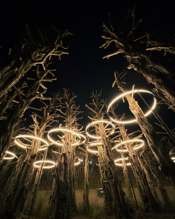 베어트리파크 크리스마스 [사진 제공 베어트리파크. 재판매 및 DB 금지]