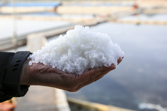 신안 천일염 [사진 제공 광주광역시. 재판매 및 DB 금지]