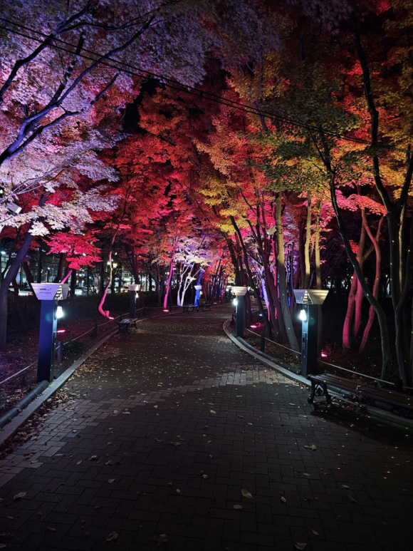 경관 조명 이미지 [사진 제공 대구광역시. 재판매 및 DB 금지]