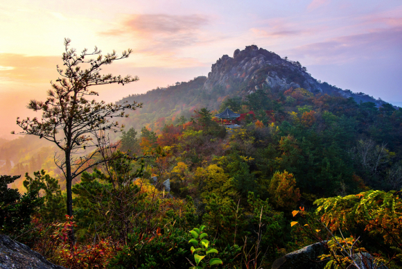 유달산 가을 풍경 [사진 제공 목포시. 재판매 및 DB 금지]