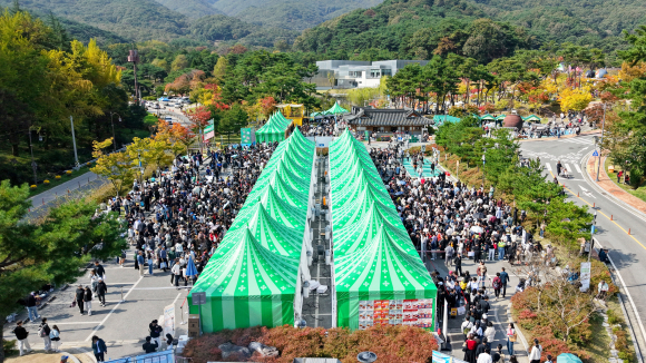 [사진 제공 김천시. 재판매 및 DB 금지]