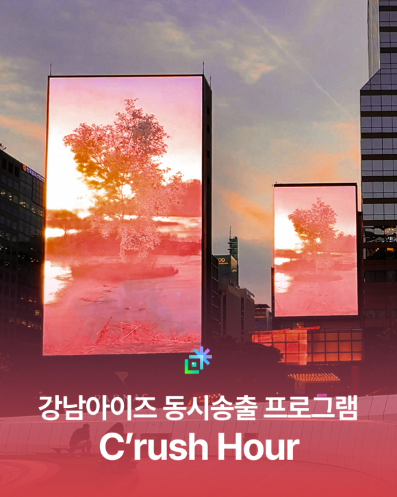 강남아이즈 동시송출 프로그램 [사진 제공 강남 아이즈(GANGNAM EYES). 재판매 및 DB 금지]