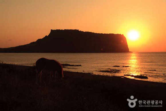 성산일출봉 바다 위로 떠오르는 해 [사진 제공 한국관광공사. 재판매 및 DB 금지]