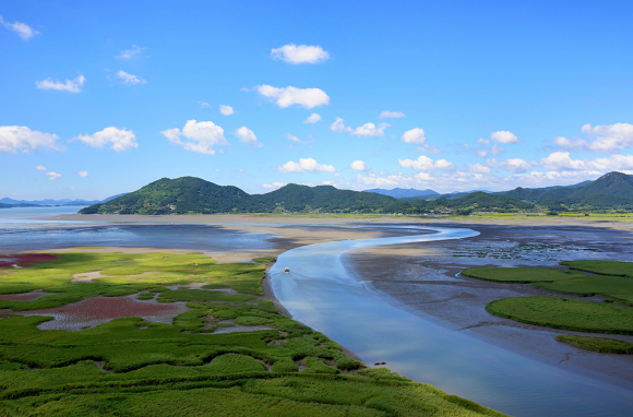 전남 순천만 습지 [사진 제공 . 재판매 및 DB 금지]