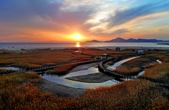 제16회 사하 관광사진영상숏폼 전국공모전 사진부문 대상 [사진 제공 다대포 낙조 - 김택수. 재판매 및 DB 금지]