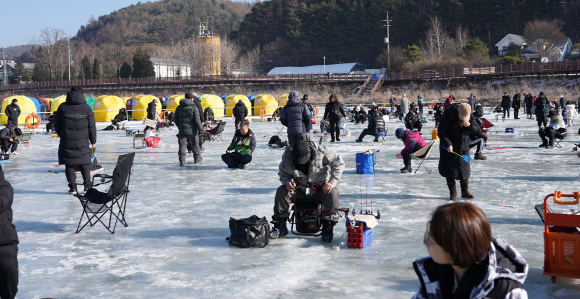 얼음을 깨고 송어를 낚는 재미 [사진 제공 축제위원회. 재판매 및 DB 금지]