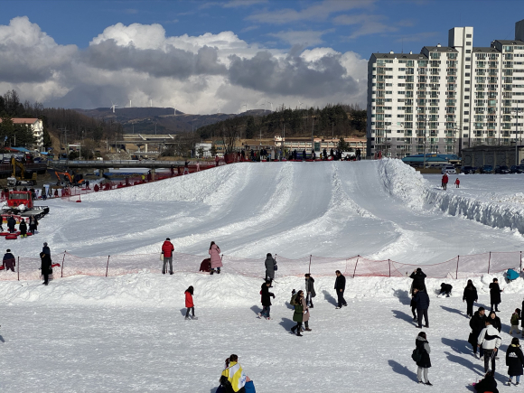 대관령 눈꽃축제 현장스케치 눈썰매장 [사진 제공 대관령축제위원회. 재판매 및 DB 금지]