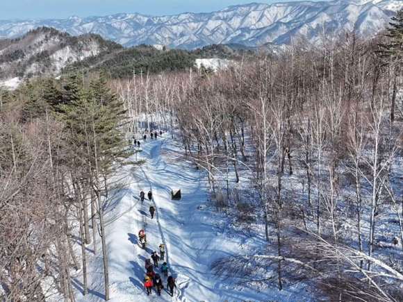 태백산 눈꽃 등반대회 [사진 제공 태백시. 재판매 및 DB 금지]