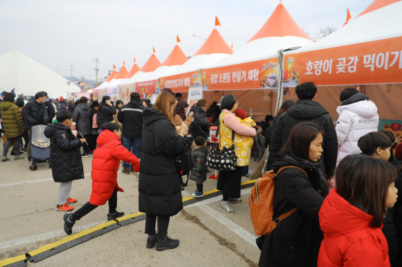 축제 부스 [사진 제공 영동군. 재판매 및 DB 금지]