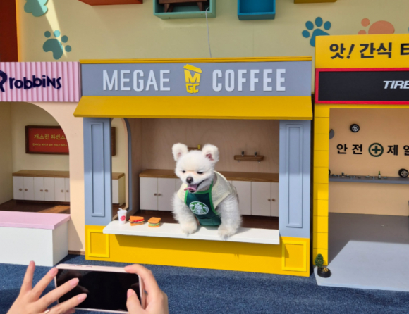 반려견 포토존 [사진 제공 단양관광공사. 재판매 및 DB 금지]