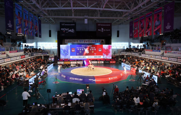 충청남도 태안군에서 민족 최대 명절인 설을 맞아 전통 기예인 씨름의 정수를 선보인다 [사진 제공 태안군. 재판매 및 DB 금지]