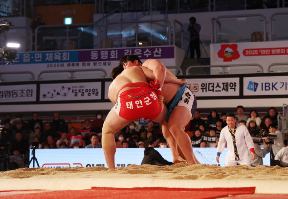 태안설날장사씨름대회 [사진 제공 태안군. 재판매 및 DB 금지]