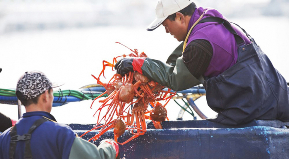 [사진 제공 울진군. 재판매 및 DB 금지]