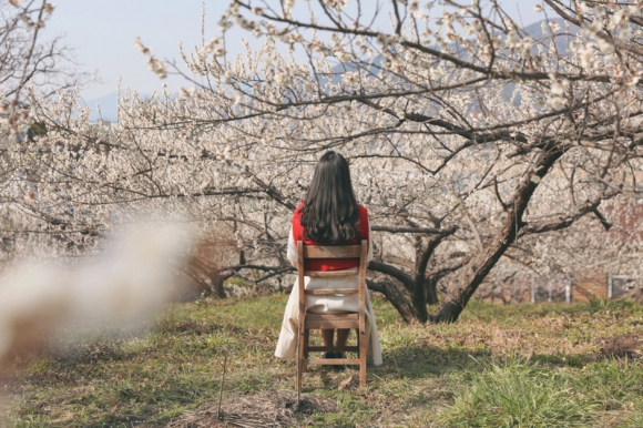 제25회 [사진 제공 광양시. 재판매 및 DB 금지]