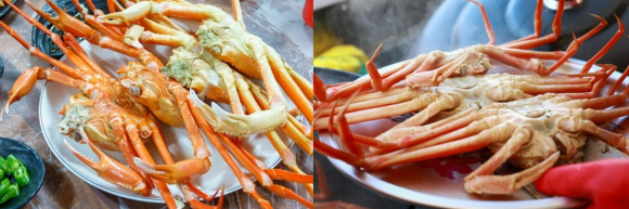 울진대게 vs 울진홍게 [사진 제공 울진군. 재판매 및 DB 금지]