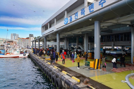 대게 위판장 [사진 제공 울진군. 재판매 및 DB 금지]