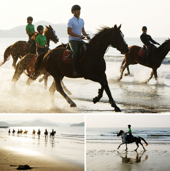 임자해변승마체험 [사진 제공 신안군. 재판매 및 DB 금지]