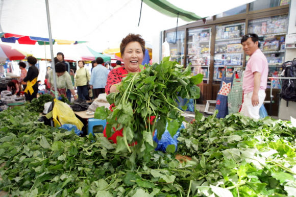 [사진 제공 정선군. 재판매 및 DB 금지]