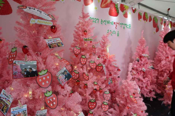 논산세계딸기산업엑스포 홍보관 운영 [사진 제공 논산시. 재판매 및 DB 금지]