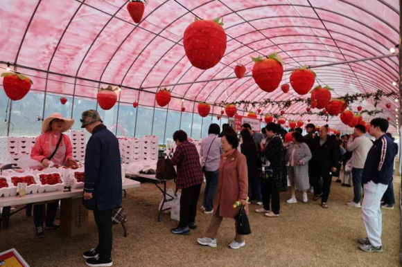 딸기 판매장 운영 [사진 제공 논산시. 재판매 및 DB 금지]