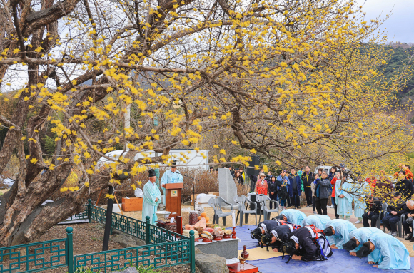 구례군 산수유꽃 축제 시목지 제례 [사진 제공 구례군. 재판매 및 DB 금지]