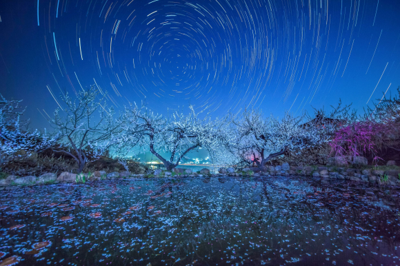 연못에 담긴 향기 [사진 제공 광양시. 재판매 및 DB 금지]