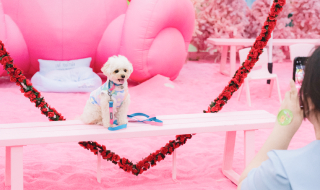 포토존 [사진 제공 엑스코. 재판매 및 DB 금지]