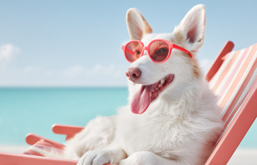 서비스 기타 [사진 제공 엑스코. 재판매 및 DB 금지]