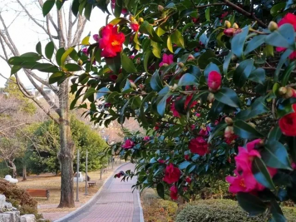 [사진 제공 서천군. 재판매 및 DB 금지]