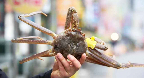 [사진 제공 한국관광공사 김지호. 재판매 및 DB 금지]