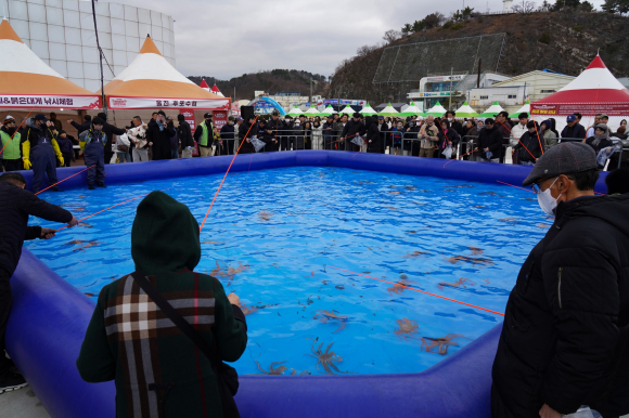 [사진 제공 울진군. 재판매 및 DB 금지]