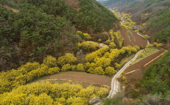 [사진 제공 의성군. 재판매 및 DB 금지]